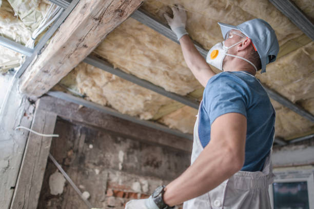 Best Insulation Installation Services in Ten Mile Run, NJ